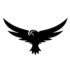 Bincy.pk